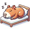 Capybara endormie