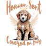 Race de chien Goldendoodle