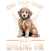 Race de chien Goldendoodle