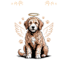 Race de chien Goldendoodle