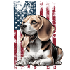 Beagle US Beagle