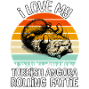 Drôle de chat angora turc