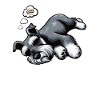 Feeling Dog Tired Schnauzer Schnauzer Owner