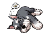 Feeling Dog Tired Schnauzer Schnauzer Owner