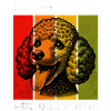Pudel Caniche