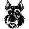 Schnauzer géant