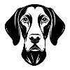 Deutscher Kurzhaar-Pointer