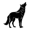 Coyote
