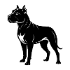 Chien