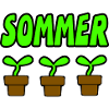 Sommer