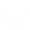 Phénix blanc