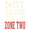 Zone 2 Training Herzfrequenztraining Einfaches
