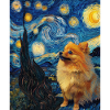 Zwergspitz Spitz Pomeranian