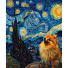 Zwergspitz Spitz Pomeranian
