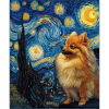Zwergspitz Spitz Pomeranian