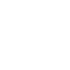 Fehlpass PROFI