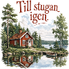 De Retour au Chalet Nostalgie Suédoise