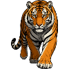 Illustration de tigre