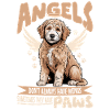 Race de chien Goldendoodle