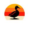 Équipe Mallard