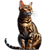 Chat léopard