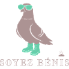 Pigeon Soyez Bénis Vert