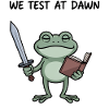 We Test at Dawn Frog Knight