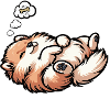 Hundemüde Zwergspitz Zwergspitze Spitzhund Spitz
