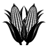 Corns