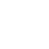 Drachen-Silhouette in fetter Monochrom