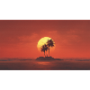 Sunset Palm Island