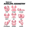 Axolotl Geometry Basics Funnier