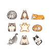 Basics of Cat Geometry Fun Math