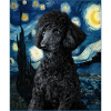 Caniche