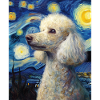 Caniche