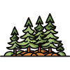 Arbres forestiers