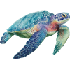 Tortue