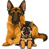 Dog Duo: Shepherd & Chihuahua