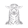 lama