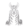 Portrait de lama