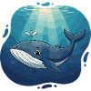 Baleine océanique en lumière