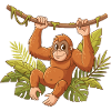 Orangutan on lianas