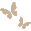 Beige Butterfly Pattern