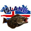 Pêche au flétan en Islande