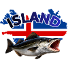 Iceland Coalfish Fishing - Pollock Fishing