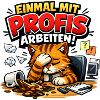 Einmal Mit Profis Arbeiten Sprüche Beruf