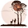 African savannah at night