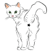 White Cat with Star Logo