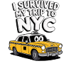 I Survived My Trip To Nyc