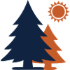 Sapins Forêt Soleil Minimalisme